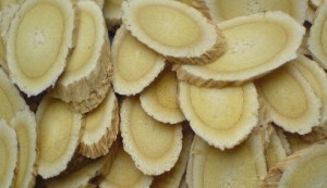 黄芪补气药物 - 第1张  | 中药养生知识-中草药的功效与作用